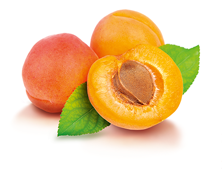 Cancer et laetrile: T�moignage d'une gu�rison spectaculaire... et interdite! 