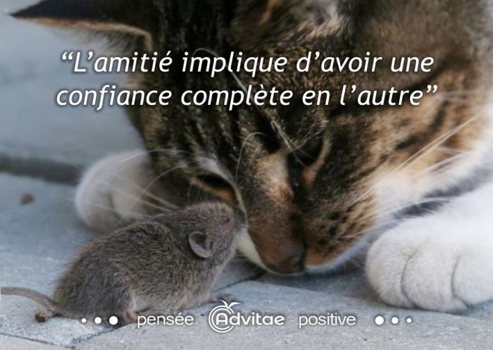L�amiti� implique d�avoir une confiance compl�te en l�autre