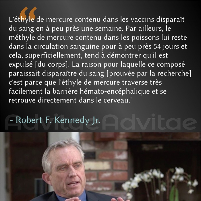 Vaccins: La raison pourquoi le mercure semble �tre expuls� du sang, c'est qu'il p�n�tre directement dans le cerveau