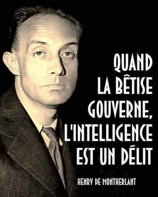 Quand la b�tise gouverne, l'intelligence est un d�lit