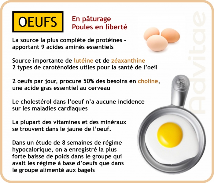 Les oeufs sont une excellente source ce prot�ines et de plusieurs nutriments essentiels