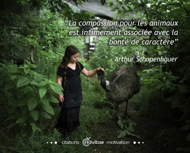 La compassion pour les animaux est intimement associ�e avec la bont� de caract�re