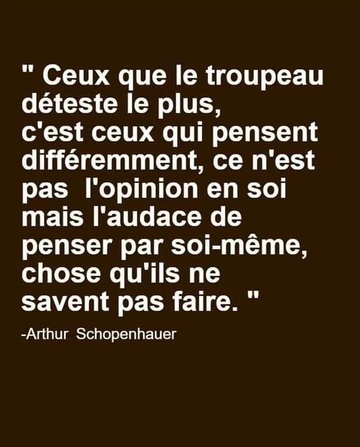 Schopenhauer : Ceux que le troupeau d�teste le plus, c'est ceux qui pensent diff�remment parce qu'ils ont l'audace de penser par eux-m�me