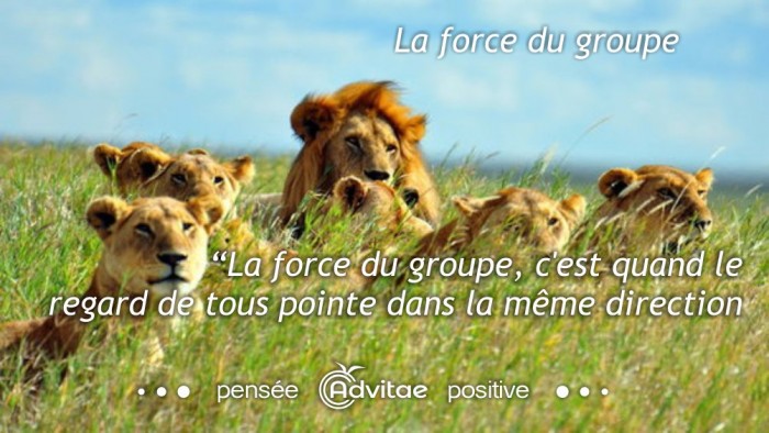 La force du groupe, c'est quand le regard de tous pointe dans la m�me direction​