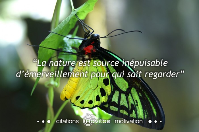 La nature est une source in�puisable d��merveillement pour qui sait regarder