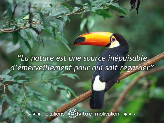 La nature est une source in�puisable d��merveillement pour qui sait regarder