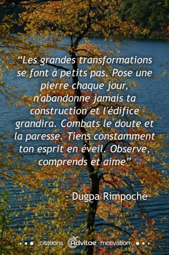 Les grandes transformations se font � petits pas